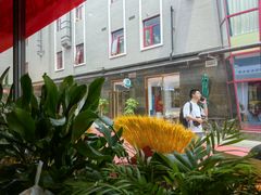 -茶花妹子云南餐厅(北大店)