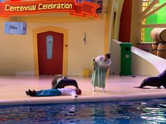 -帝企鹅自助餐厅•儿童岛•真企鹅(长隆企鹅酒店)