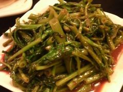 -大可堂普洱茶馆(襄阳南路馆)