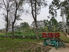 -三圣花乡旅游区