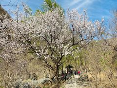 -京西十八潭风景区