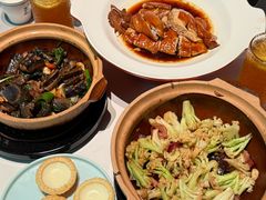 -新兴·金羊座·粤菜点心(乐峰店)