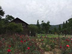 -龙寺生态园