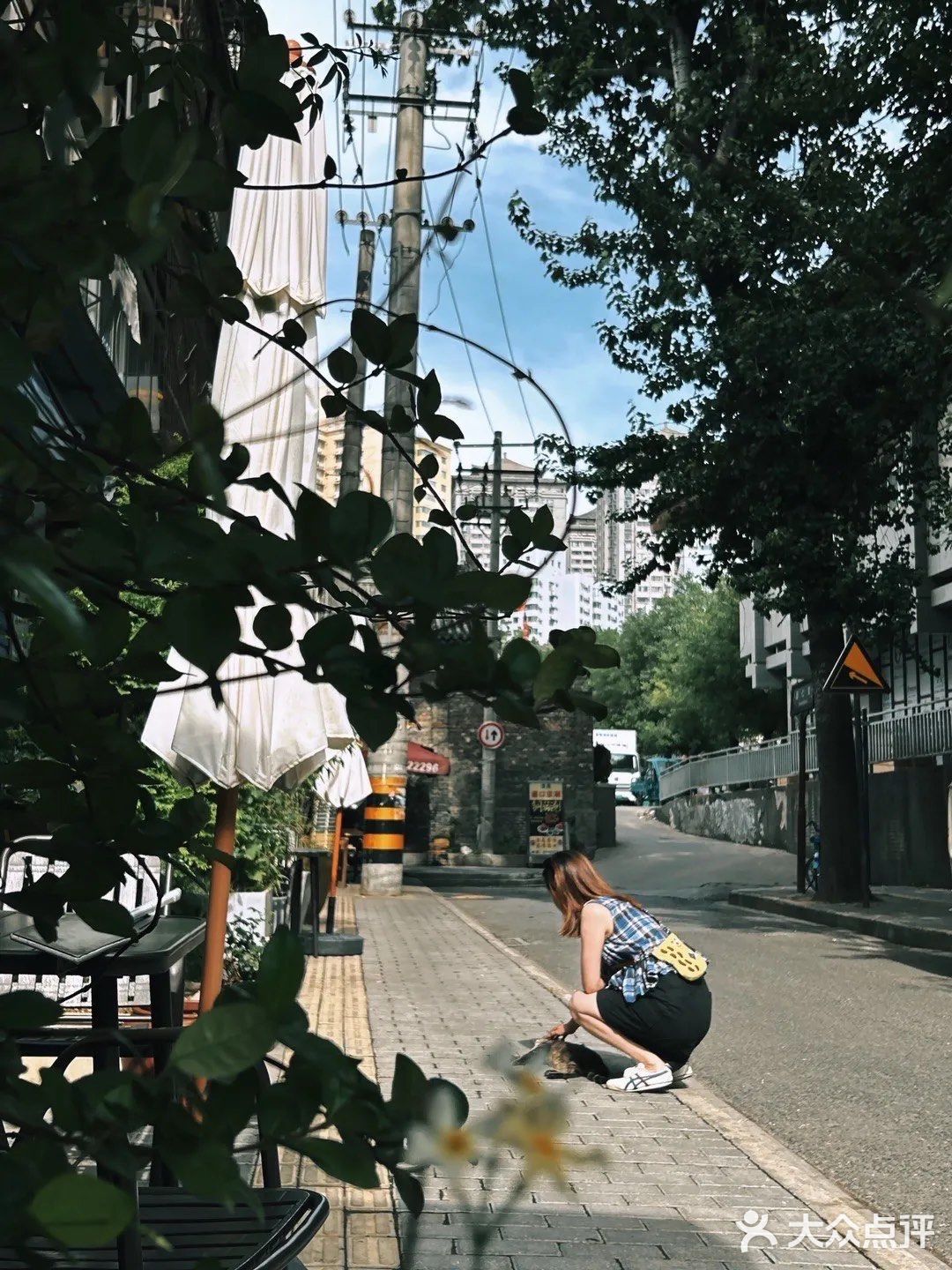 巷子里的私房菜馆