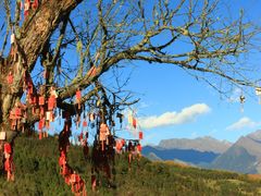 -硗碛藏寨·神木垒景区