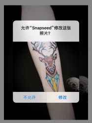 点击看大图 -極致刺青TATTOO STUDIO 私人订制