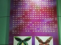 -上海昆虫博物馆