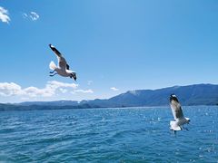 -泸沽湖里格半岛