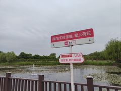 -微山湖红荷湿地景区