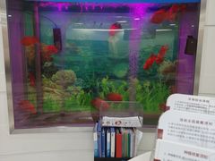 -雅悦齿科(顾村公园店)