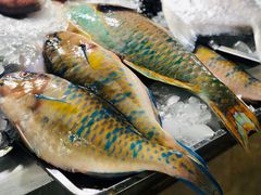 -新鸿港水果市场