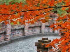 -田野绿世界