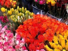 -循礼门鲜花花市(武汉循礼门店)