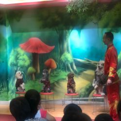 -未来动物城主题公园(正弘城店)