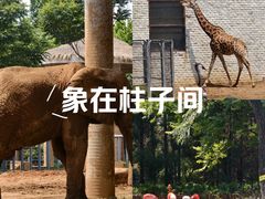 -石家庄市动物园