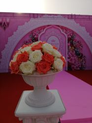 -雅奇婚庆(永乐园社区店)