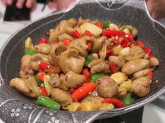 -新蜀会四川豆花(五羊店)