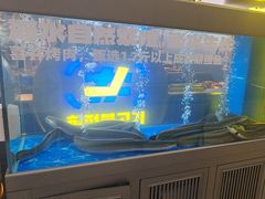 -喜井无限自助烤肉公司(石厦店)