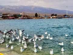 -青海湖国家重点风景名胜区