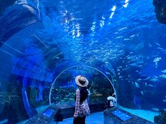 -海合安成都极地海洋公园