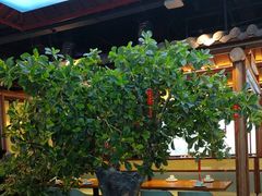 -三凤酒家·百年无锡菜(清扬茂业店)