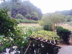 -韶山毛泽东同志故居