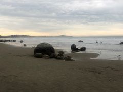 -摩拉基大圆石