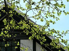 -一尺花园(安和花园店)