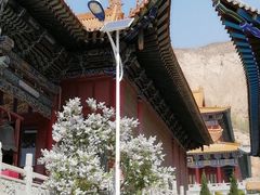 -报恩寺(平武县)