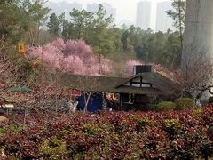 -秀丽东方