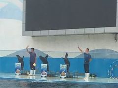 -北戴河圣蓝海洋公园