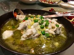 传统特色酸菜鱼-君悦酒店·1881·北京烤鸭