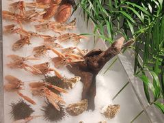 -Mr.Fish鱼鲜生海鲜放题(高德置地冬广场店)