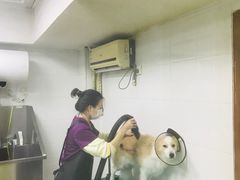 -创凡宠物医院·骨专科  猫科中心(西乡分院)