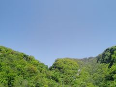 -牛背梁国家森林公园