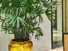 -天津津利华酒店