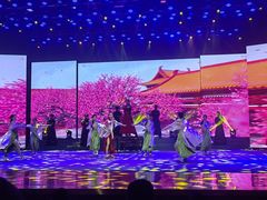 -南风大剧院莎梦二人转剧场