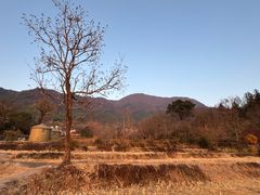 -塔川景区