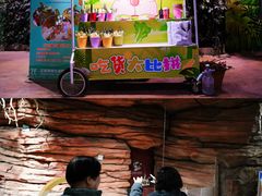 -正佳雨林生态植物园