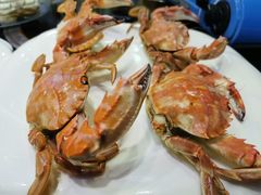 -鲜鲜·鲅鱼圈海鲜(于洪店)
