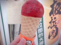 桑葚梅梅-极拉图·现制冰淇淋(大卫城店)