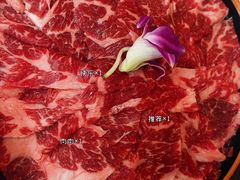 -鲜入围煮花胶鸡海鲜火锅