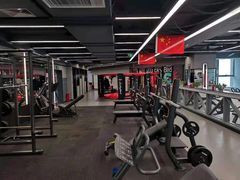 -金吉鸟健身游泳