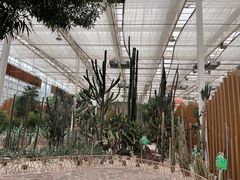 -黄龙溪欢乐田园