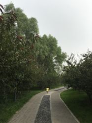 -大望京儿童游乐场