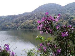 -广州市石门国家森林公园