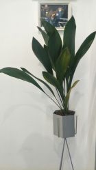-型走Symbol造型