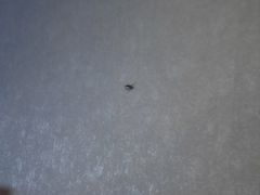 -好声音时尚量贩KTV(之心城店)