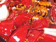-黄潇洒老火锅(九眼桥宏济巷店)
