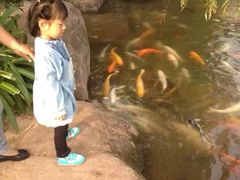 -世界恐龙谷景区